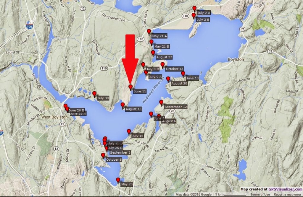 wachusett reservoir gate map - Adventures Of A Pine Cone Spider Collector: -Jun- Wachusett